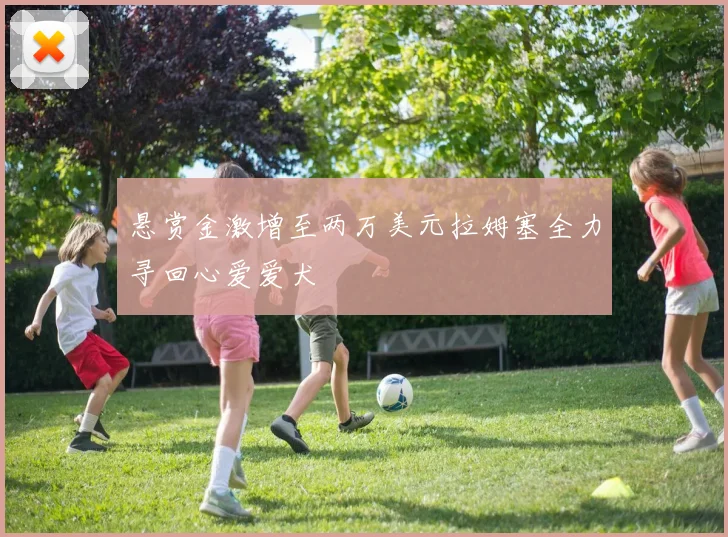 悬赏金激增至两万美元拉姆塞全力寻回心爱爱犬